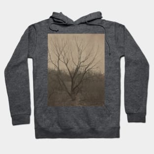 Bare branches of an old tree Hoodie